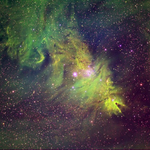 東京都奥多摩から　コーン星雲、狐の毛皮、鬼面星雲