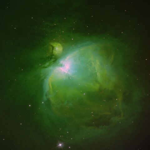 東京都板橋区から　オリオン大星雲