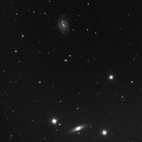 東京都板橋区から　NGC4535 NGC4526
