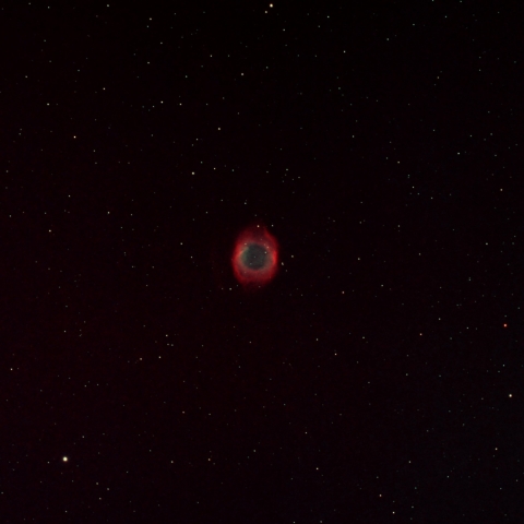 東京都板橋区から　NGC7293 らせん星雲