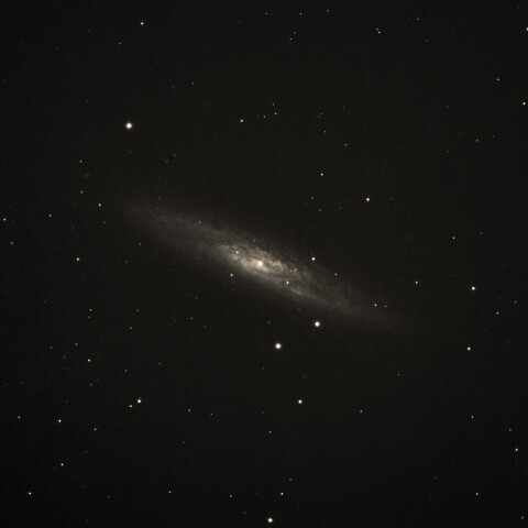 東京都板橋区から　NGC253 ちょうこくしつ座銀河