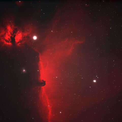 東京都板橋区から　IC434 馬頭星雲