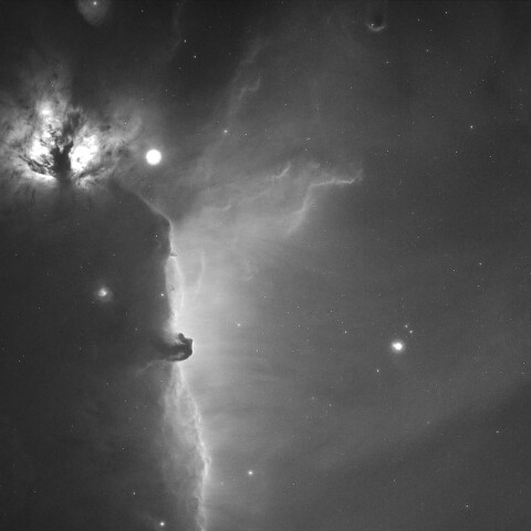 東京都板橋区から　IC434 馬頭星雲Hα版