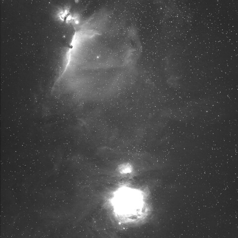 東京都板橋区から　M42から馬頭星雲