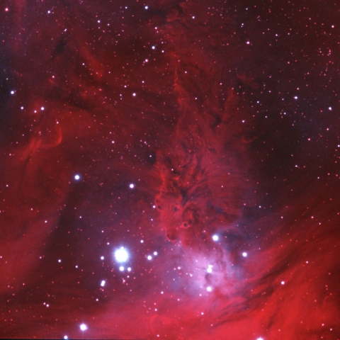 東京都奥多摩から　NGC2264　狐の毛皮星雲