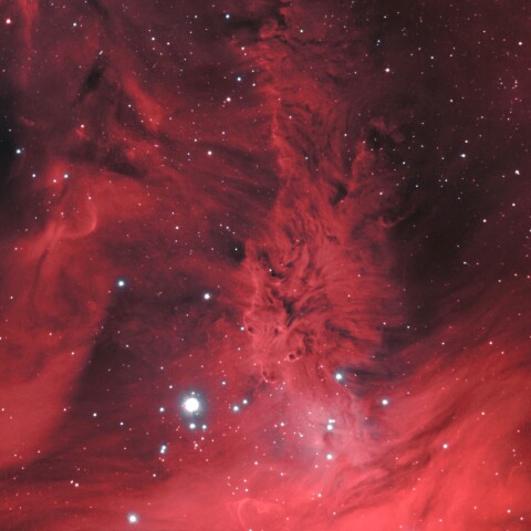 東京都奥多摩から　NGC2264　狐の毛皮星雲その2