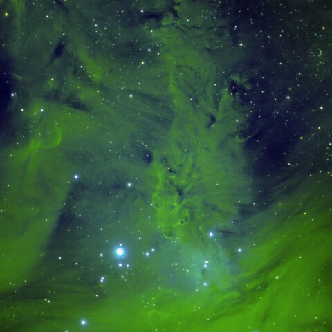 東京都板橋区から　NGC2264　狐の毛皮星雲その3