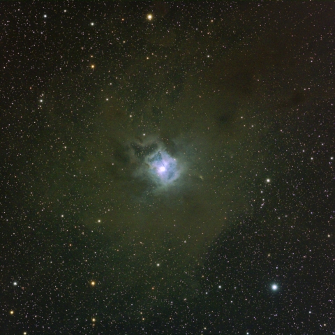 NGC7023 アイリス星雲