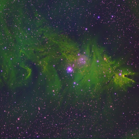 クリスマスツリー星団　NGC2264