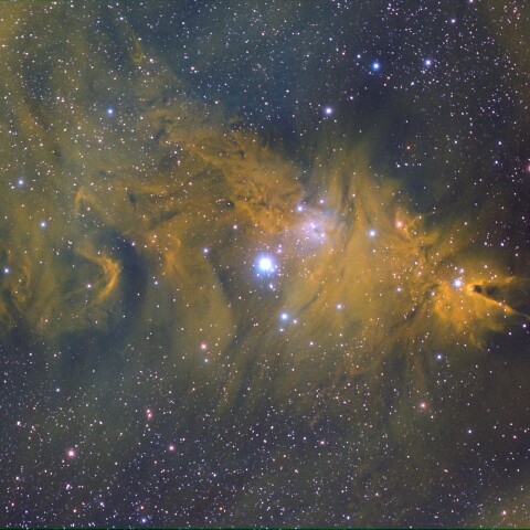 NGC2264　コーン星雲、狐の毛皮、鬼面星雲