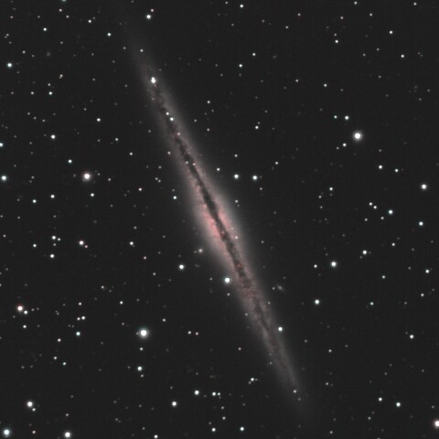 NGC891