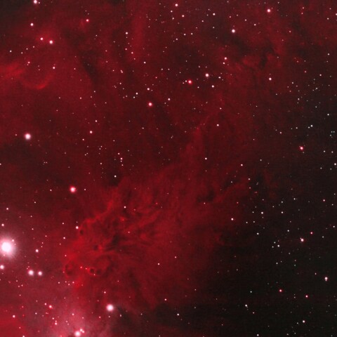 NGC2264　クリスマス星団の狐の毛皮