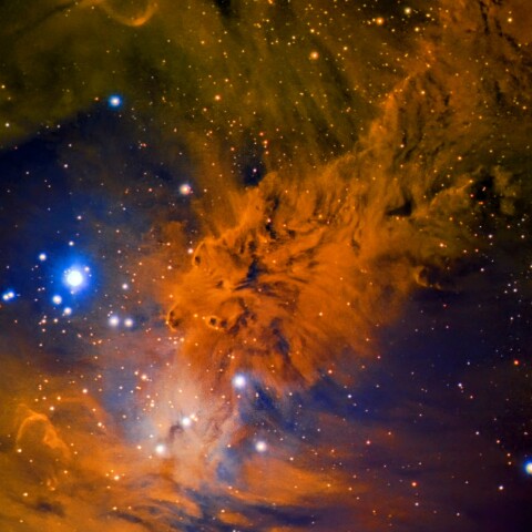 NGC2264　狐の毛皮星雲