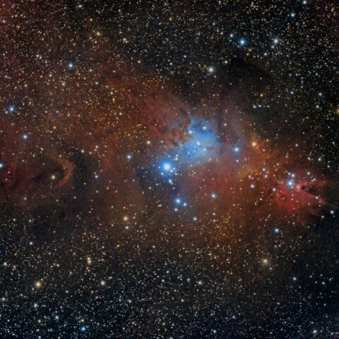NGC2264　クリスマス星団等