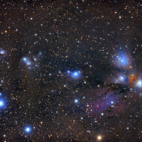 NGC2170.2182.2183 深夜の蝶