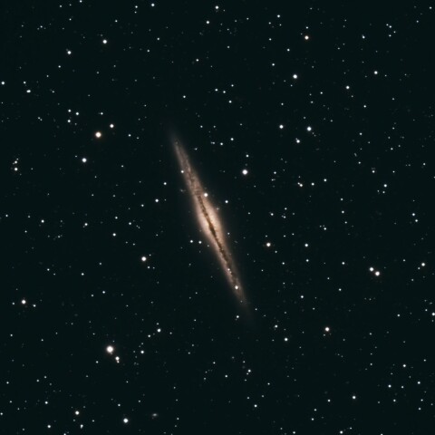 NGC891