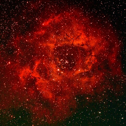 ばら星雲　東京都板橋区から