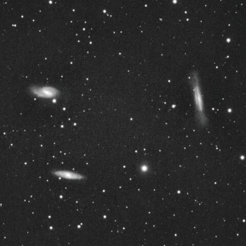 東京都板橋区から獅子座の銀河たち