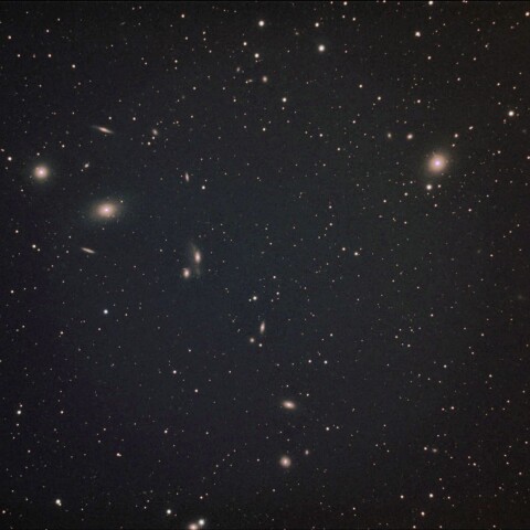 埼玉県から　マルカリアンチェーン