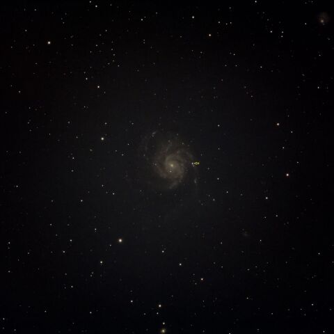 奥多摩から　Ｍ101の超新星 2023ixf