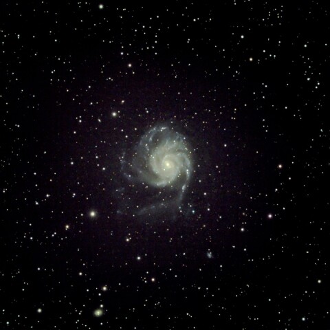 日光から　M101と超新星2023ixf