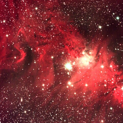 東京都奥多摩から　クリスマスツリー星団、コーン星雲、狐の毛皮星雲、鬼面星雲