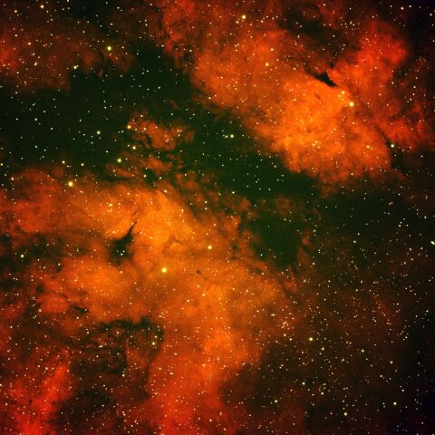 さいたま市さくら区役所付近　サドル付近