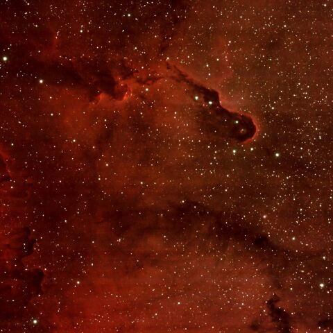 奥多摩湖から　IC1396 象の鼻