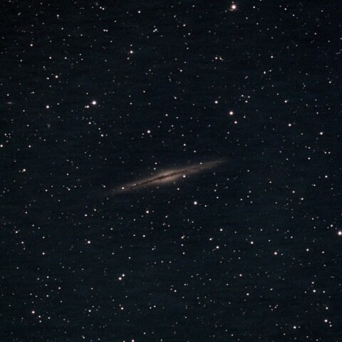 埼玉県さいたま市　NGC891