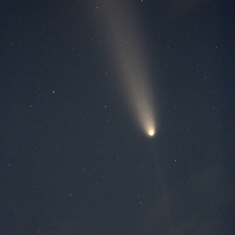 16日　柴金山・アトラス彗星のアンチテイル