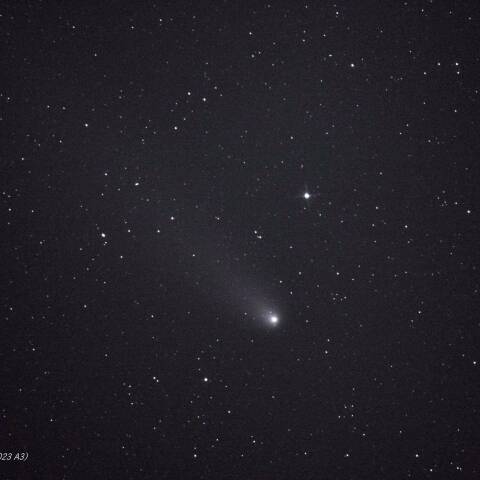 11/3　柴金山・アトラス彗星