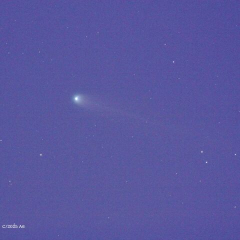 レモン彗星　（C/2025 A6）