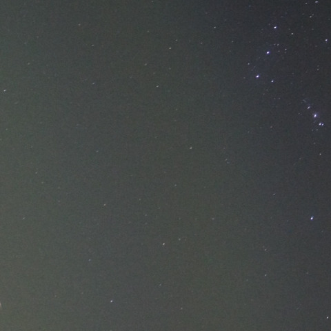 オリオン座流星群　極大日