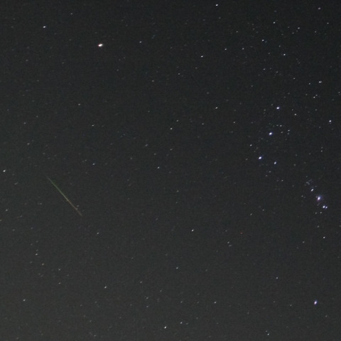オリオン座流星群　極大日