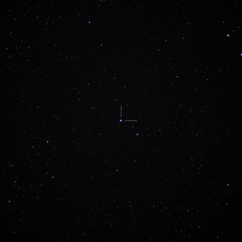 いるか座の新星