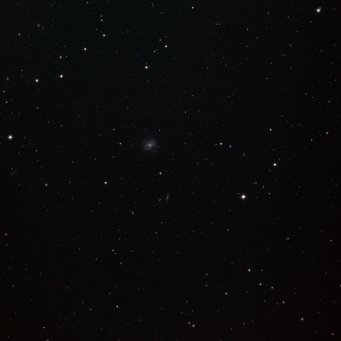 おとめ座銀河団　M100周辺