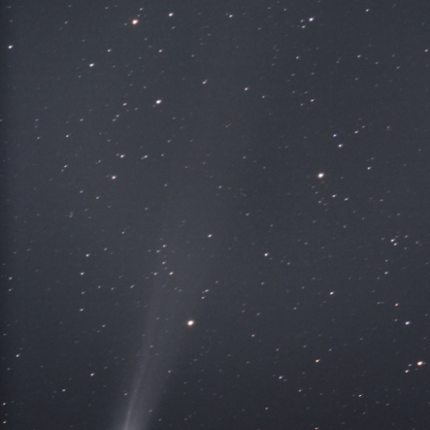 ラブジョイ彗星