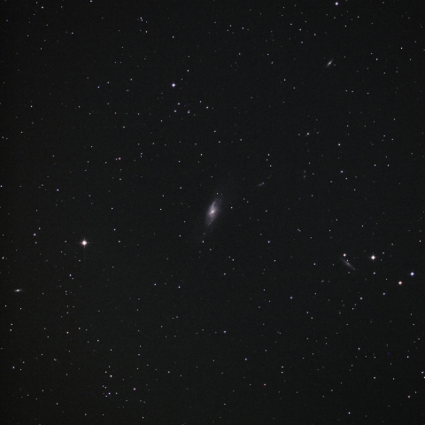 Ｍ１０６周辺の銀河