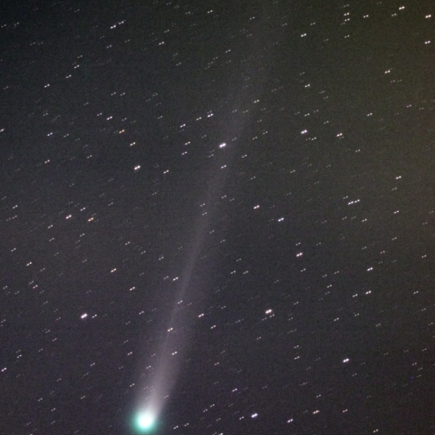 ラブジョイ彗星