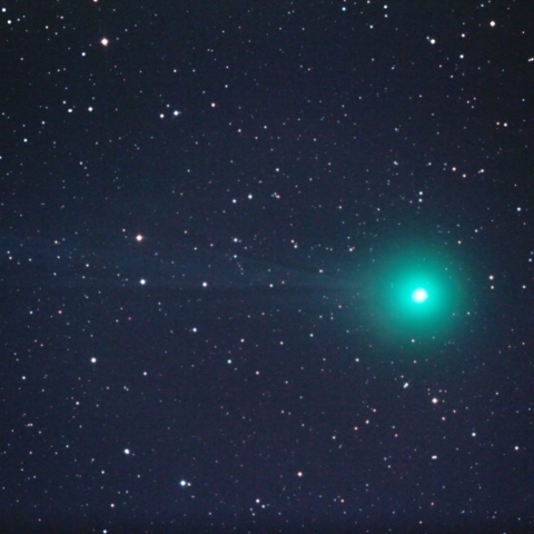 ラヴジョイ彗星