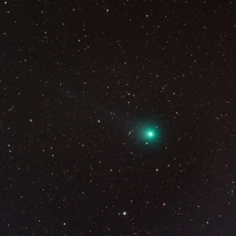 ラヴジョイ彗星