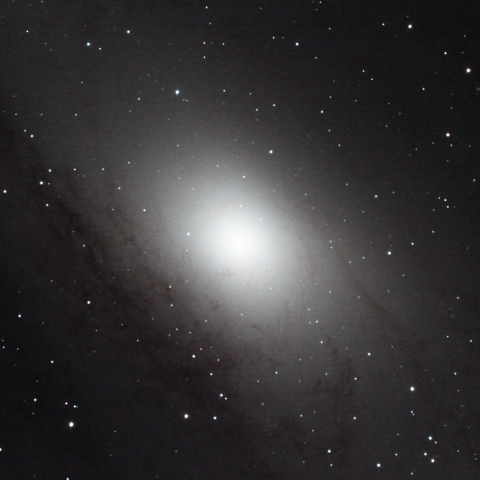 M31