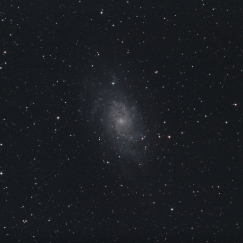 M33