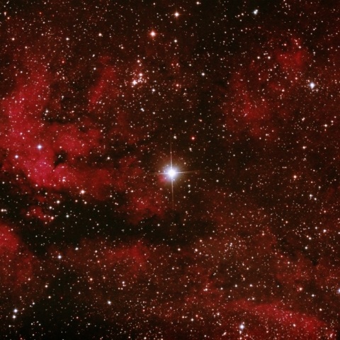 白鳥座γ星付近　IC1318