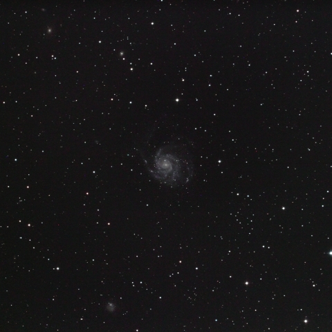 M101