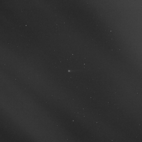 エラスムス彗星(C/2020 S3)