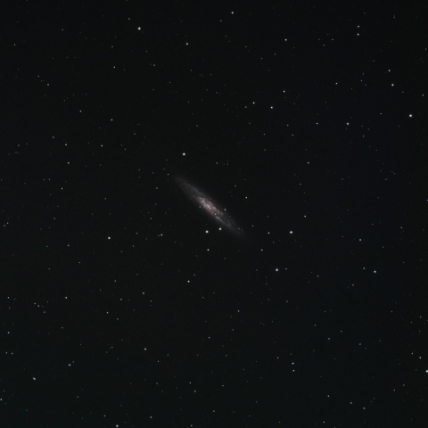 NGC253