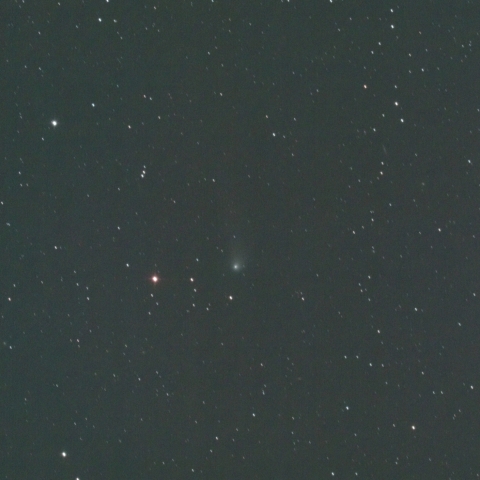 ズィーティーエフ（ZTF）彗星