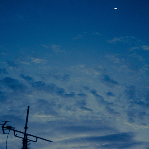 夜明け前…寄り添う細い月と金星