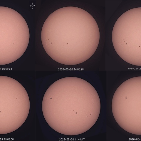 太陽黒点(6日間の動き)